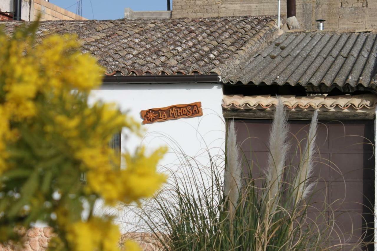 فيلا La Mimosa Carcastillo المظهر الخارجي الصورة
