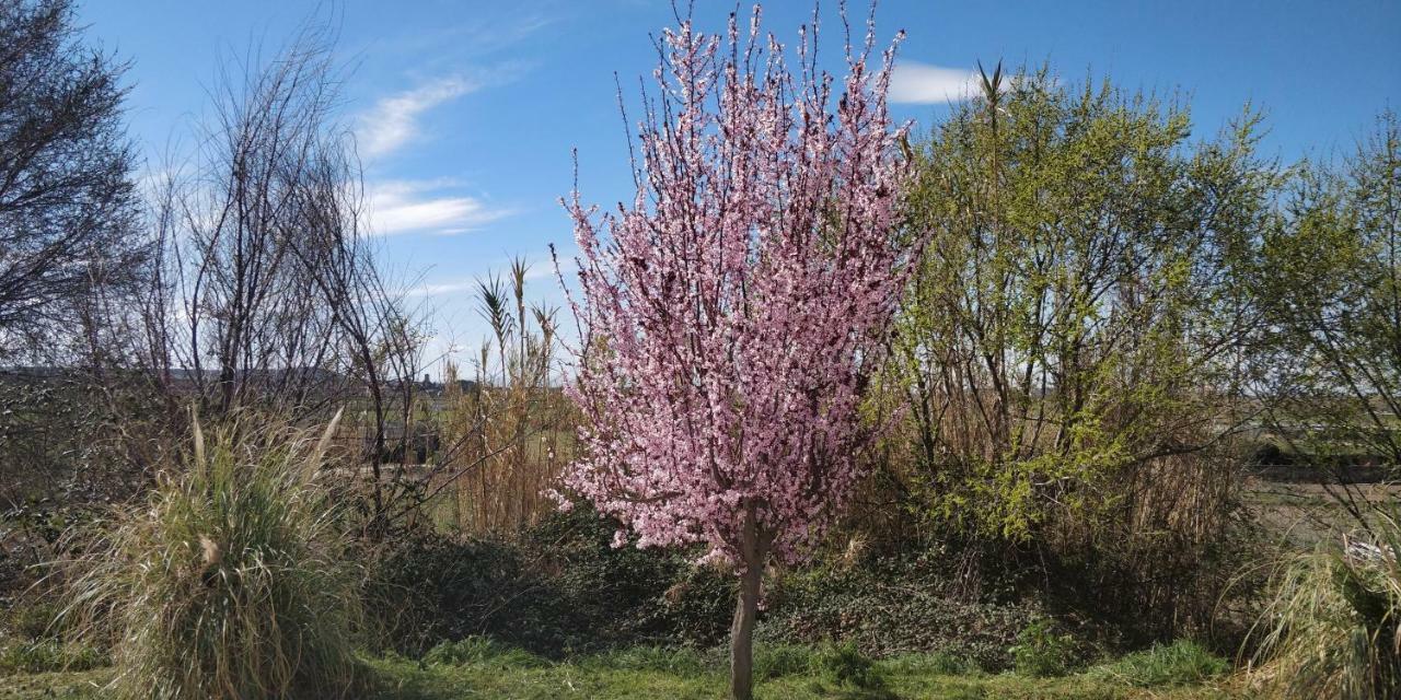 فيلا La Mimosa Carcastillo المظهر الخارجي الصورة